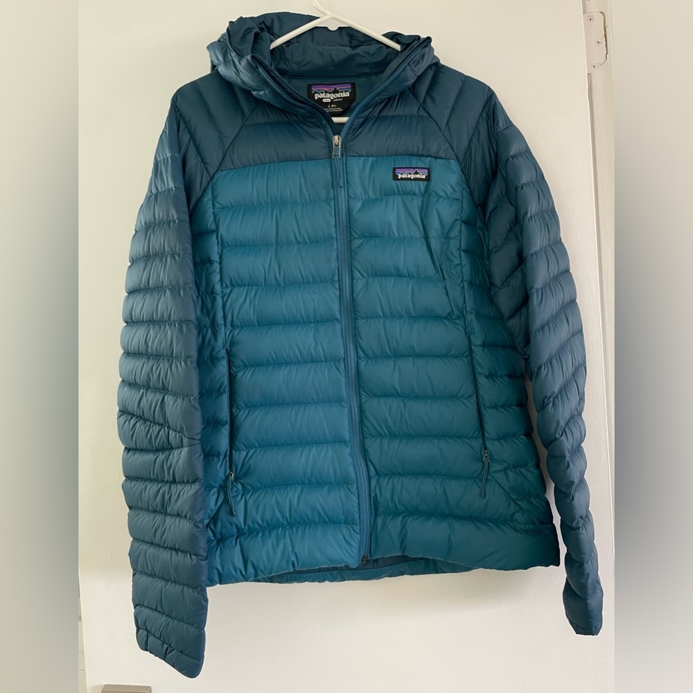 Patagonia Down Sweater Hoody